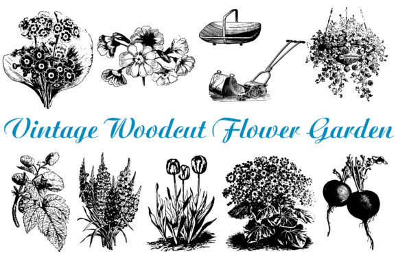 Download 74 Woodcut Vintage Floral Border Divider - Vintage floral border Collection
